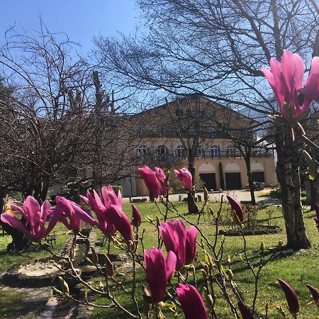 سان-جان-أون-رويان Logis Hotel Restaurant Le Castel Fleuri المظهر الخارجي الصورة