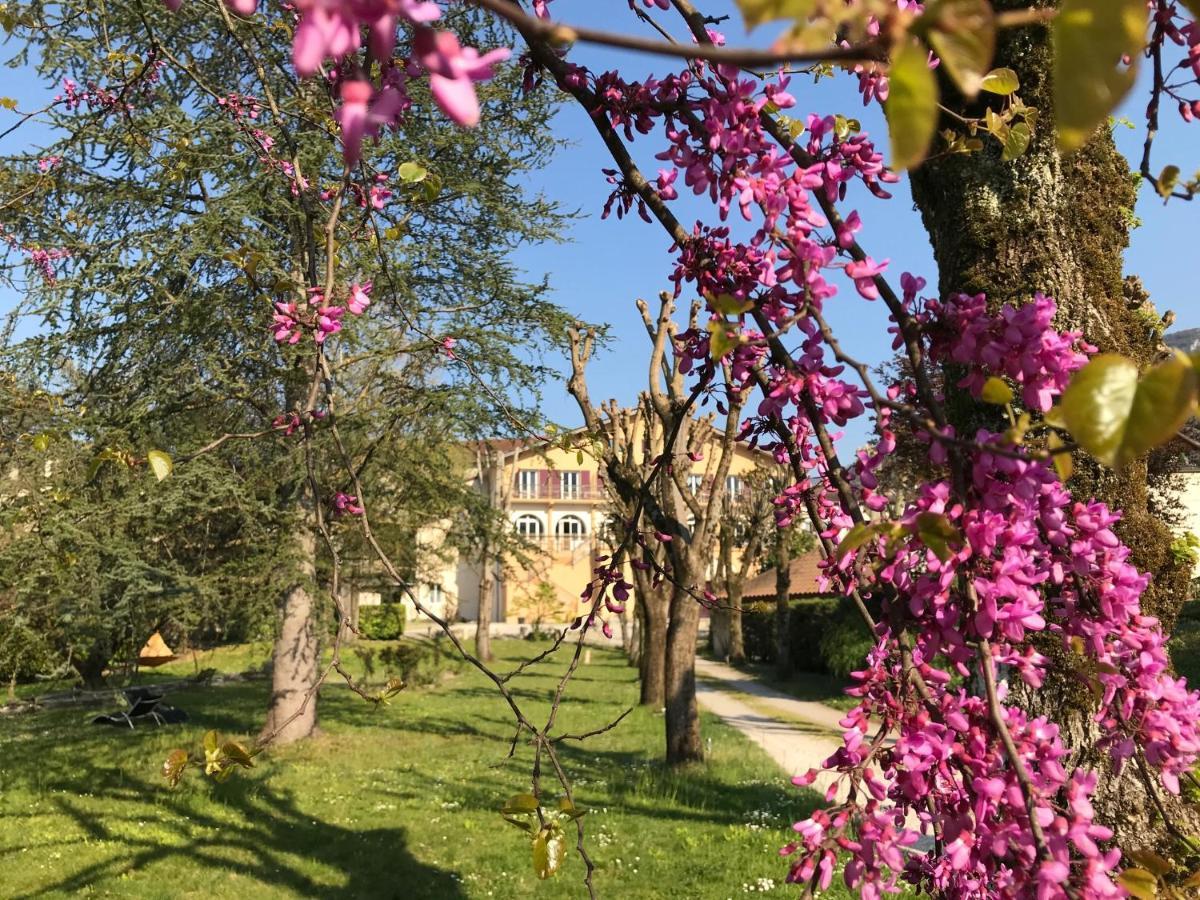 سان-جان-أون-رويان Logis Hotel Restaurant Le Castel Fleuri المظهر الخارجي الصورة